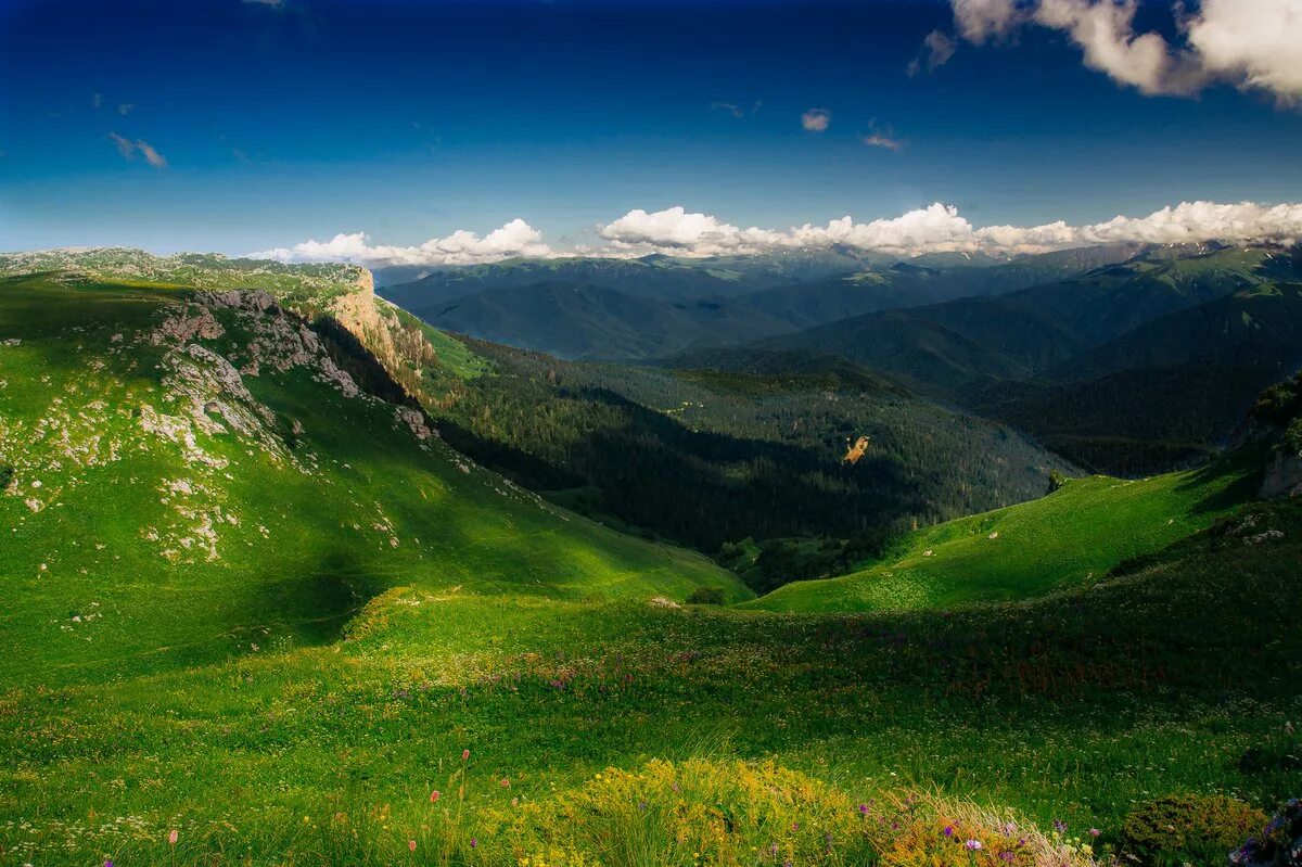 Авито краснодарский край адыгея. Лаго Наки. Краснодарские горы Лагонаки. Плато Лаго-Наки Адыгея. Кавказский заповедник Лаго Наки.