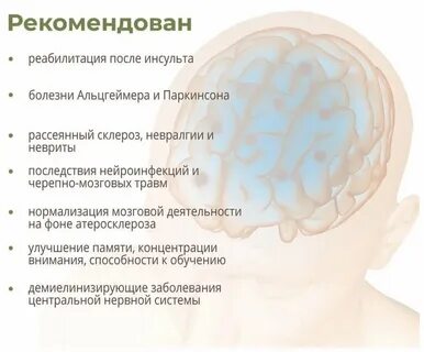 20 мозга