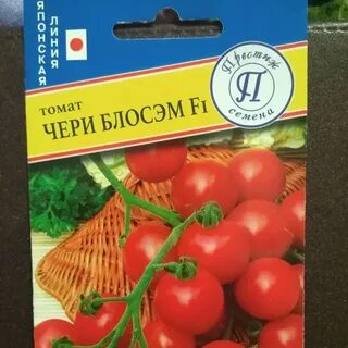 Чери блосэм отзывы