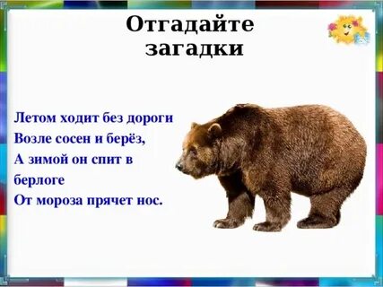 Загадка летом шубу