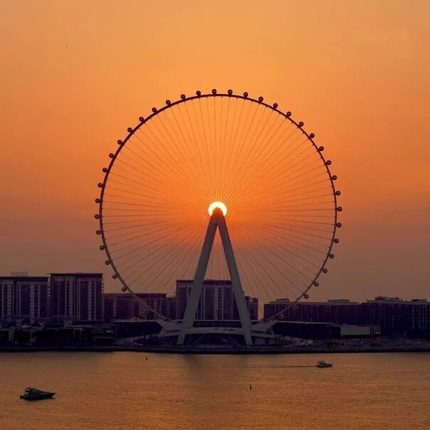 Дубай марина колесо обозрения. Колесо обозрения в дубае высота. Глаз дубая колесо обозрения. Самое высокое в мире колесо обозрения ain dubai. Почему не работает колесо обозрения в дубае.