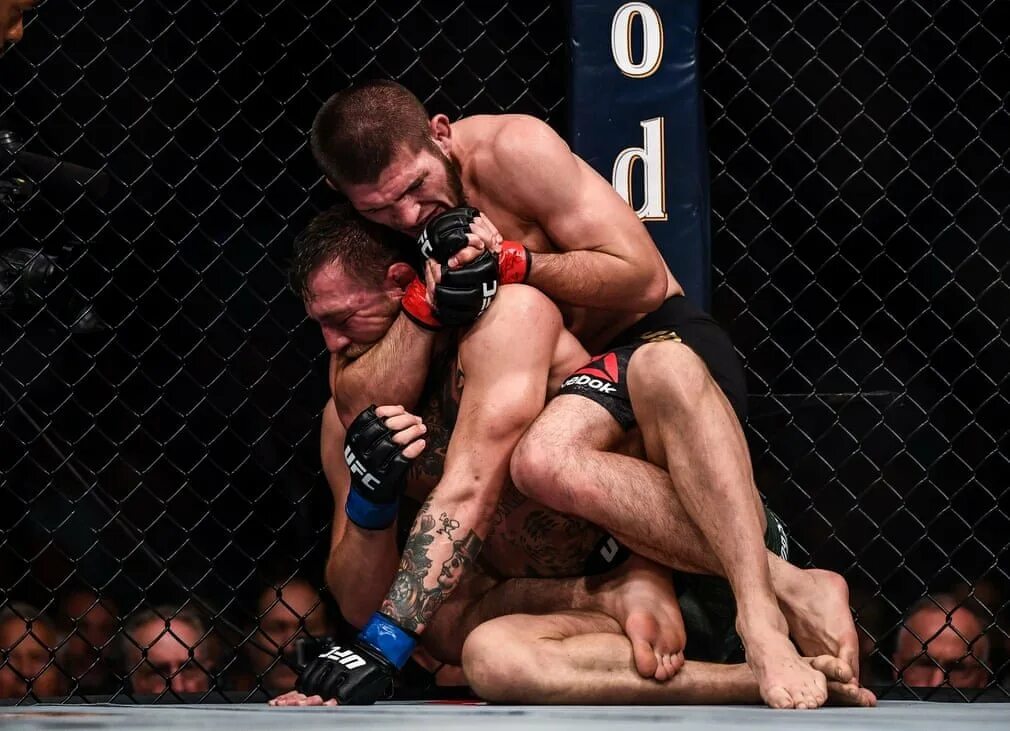 Какое число будет бой. Хабиб коннор ufc 229. хабиб нурмагомедов и конор макгрегор. хабиб макгрегор бой. конор макгрегор бой с хабибом.