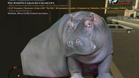Бегемот меню