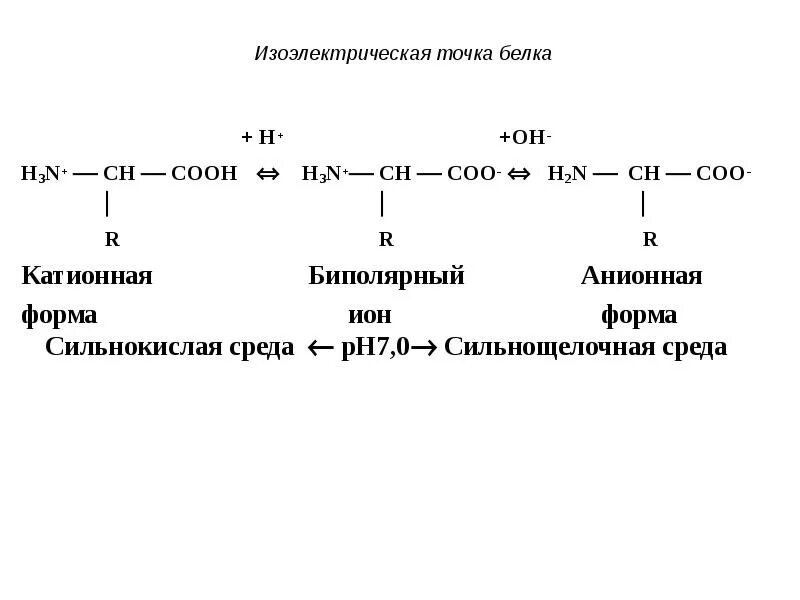 Белковая точка. H2n пептид. Изоэлектрическая точка белка схема. PH И изоэлектрическая точка. Изоэлектрическая точка аминокислот.