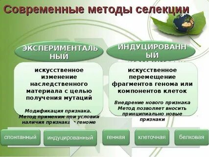 Методы селекции биотехнологии