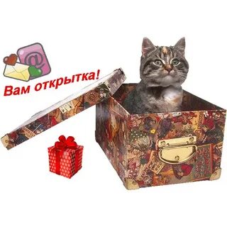 Всратая открытка