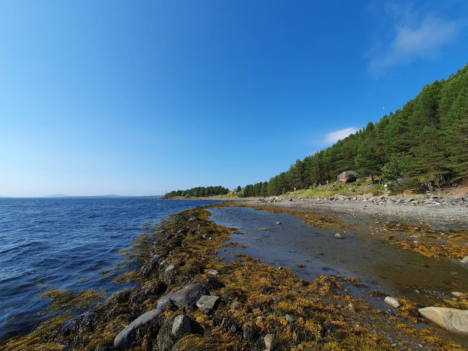 Кандалакшский залив белого моря. Кандалакшский залив. Восточная сибирь байкал. Белое море кандалакша 115. Белое море кандалакша 115.