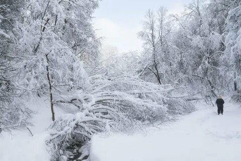 Овраг снег