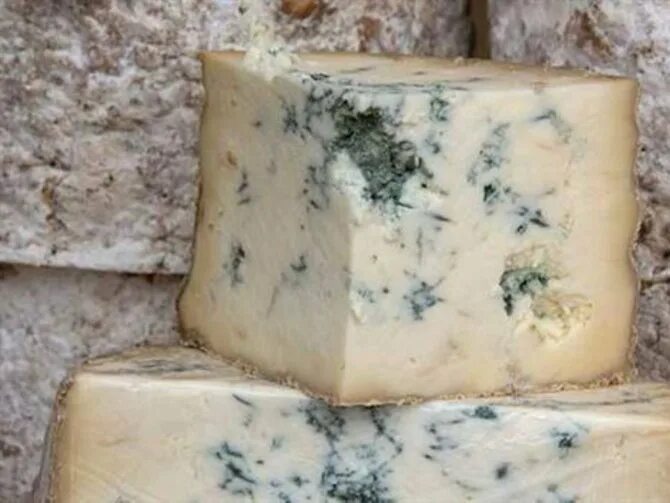 Можно ли замораживать сыр с плесенью. Сыр с плесенью горгонзола сорта. плесневелый сыр. сыр с плесенью производители. сыры с плесенью производители.