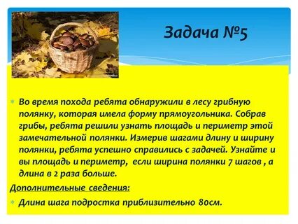 Текст в лес за грибами