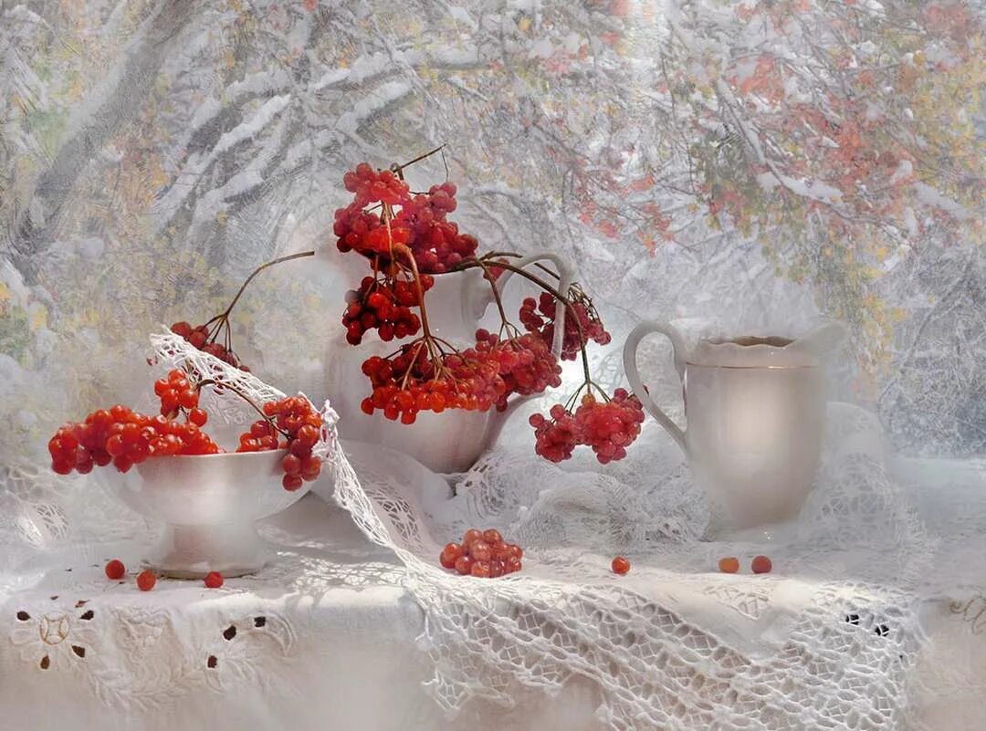 Пусть дождь в ноябре пусть снег. Цветы на зимнем окне. Добра и любви зимой. Зимне весенний пейзаж. Пусть дождь в ноябре пусть снег.