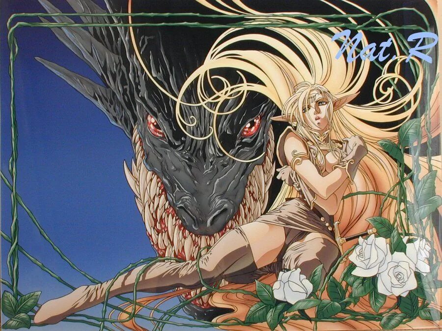 Record of lodoss