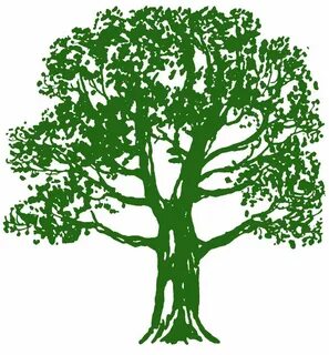 Trees музыка