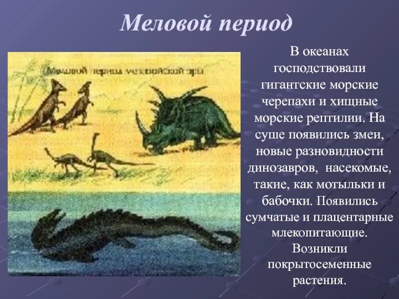 Мезозойская Эра Юрский период меловой период. Меловой период животные и растения. Меловой период климат. Жизнь на земле зародилась на суше