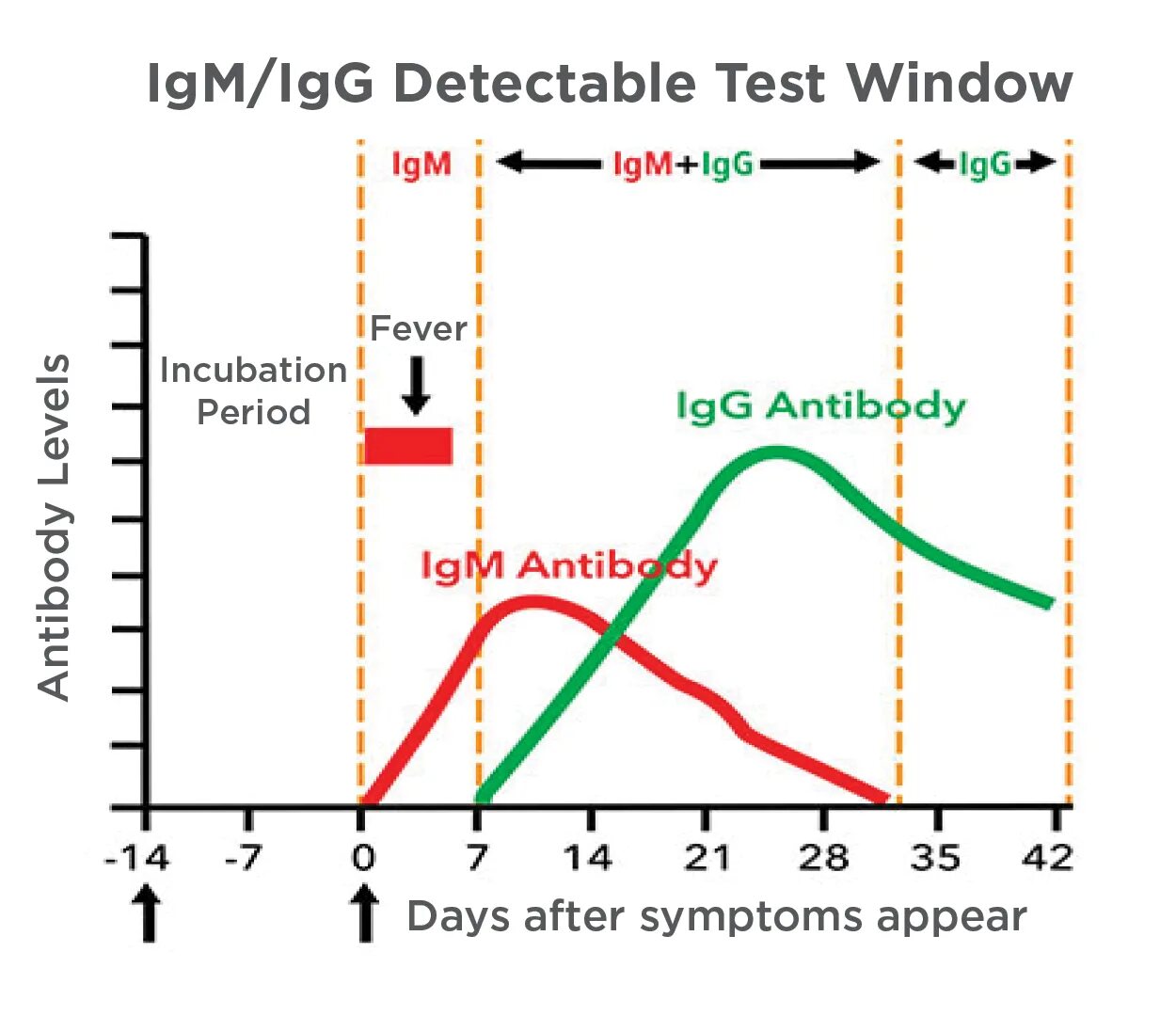 IGG IGM график. IGM антитела. Антитела IGM И IGG. Тест на IGG IGM. Igm магазин игр