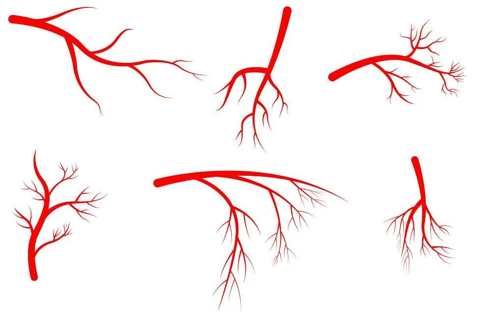 Капилляры сосуда варфрейм. Капилляры на прозрачном фоне. Капилляры на белом фоне. Глаз с капиллярами рисунок. Сосуды ЗТП.