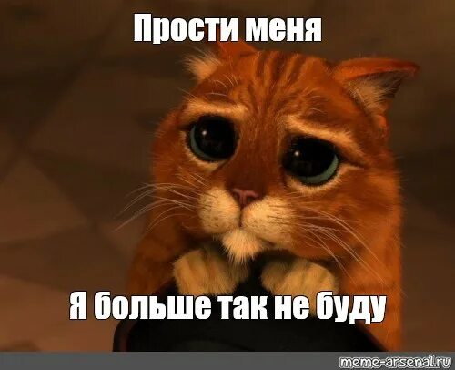 Алис извини пожалуйста