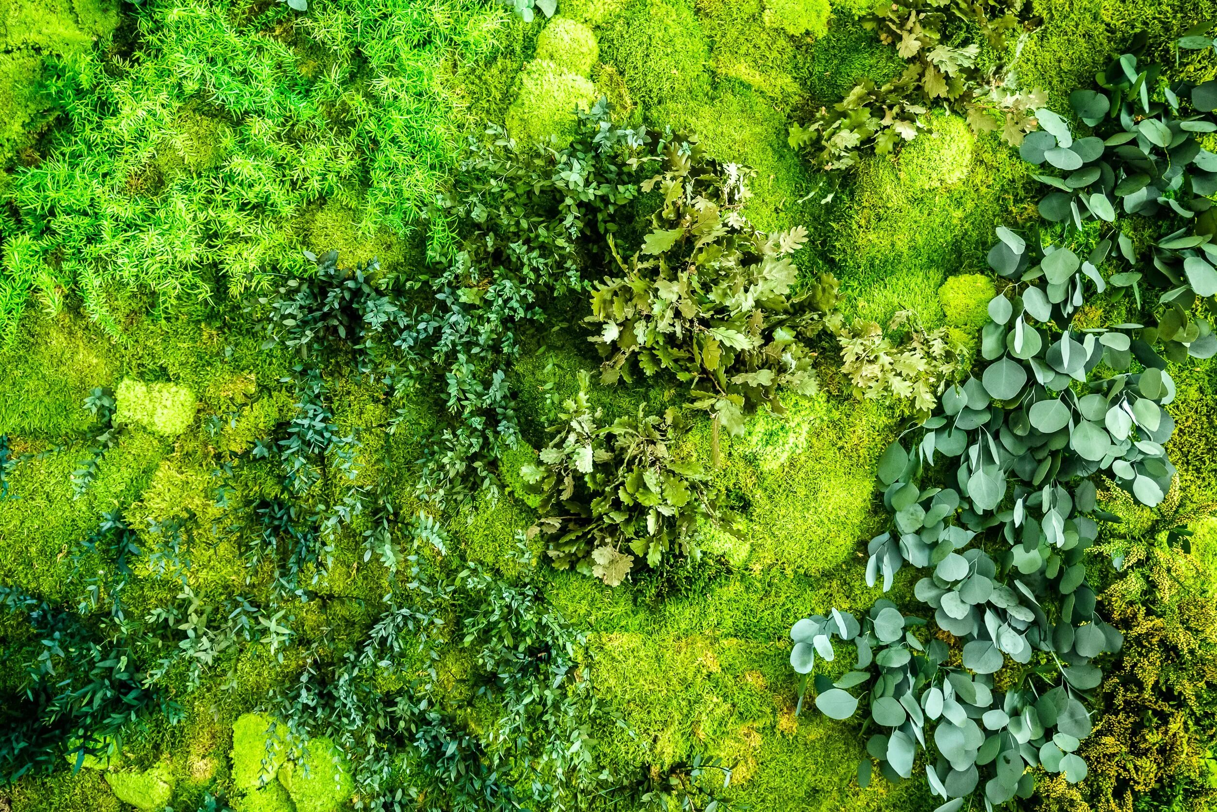 Greenery