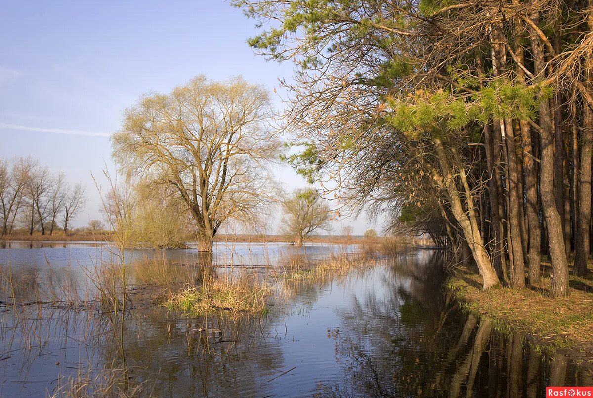 Проспект героев сталинграда 42 волгоград красноармейский район. Весенние лесные цветы. Шебекино аптека апрель на ленина 40. Весенние лесные цветы. Белгород весной.