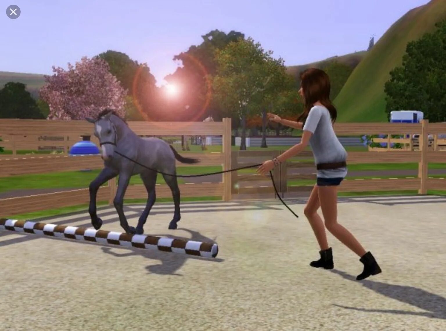 Мод лошади симс. Sims 4 лошади. sims 3 питомцы конюшня. the sims 4 питомцы лошади. sims 3 лошади.