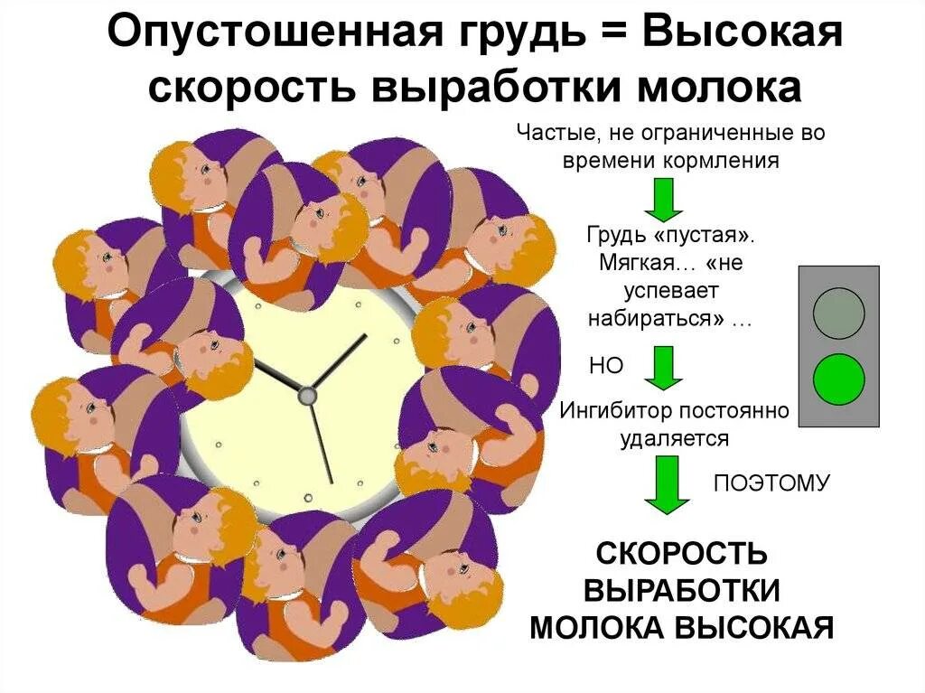 Для увеличения грудного молока. Продукты для лактации грудного молока. Продукты повышающие лактацию грудного. Продукты повышающие лактаци. Для повышения лактации грудного молока продукты.