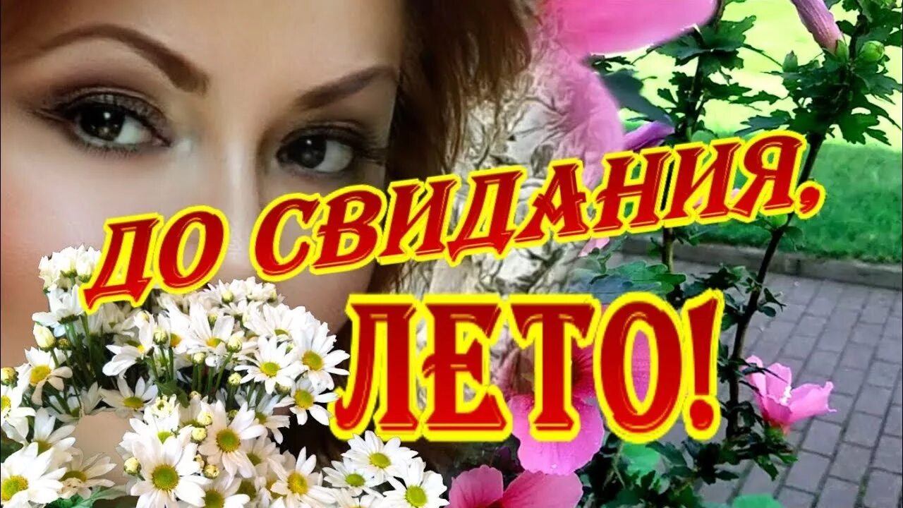 До свидания лето. До свидания лето картинки. Август уходит Прощай лето. До свидания лето красное.