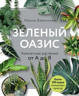 Зеленый оазис