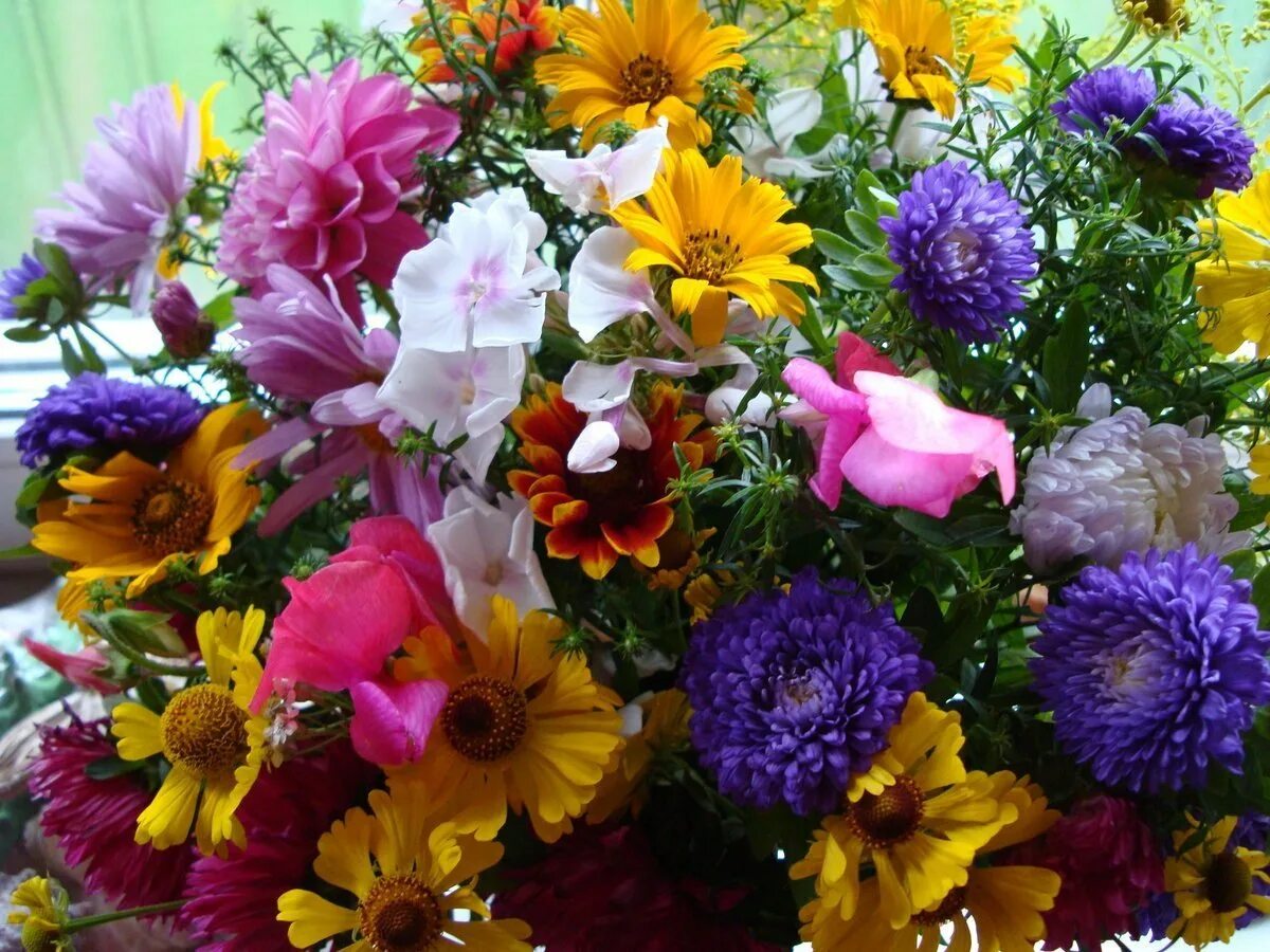 Открытки с днем осенних цветов. Осенний букет астры георгины. Сентябрьские георгины. Красивый яркий букет. Яркий букет цветов.