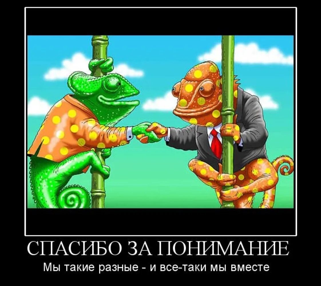 Мы такие разные