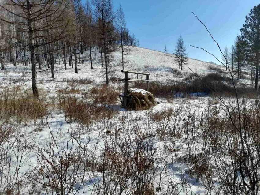 Курунзулай Забайкальского. Кондуй Забайкальский край Борзинский район. Курунзулай Борзинского района Забайкальского края. Олдонда Борзинского района Забайкальского края. Богатства забайкальского края