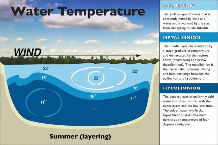 Температура в озерах летом. Температура озера. Температура воды в Ладожском озере. Температура воды белое озеро. Онтарио озеро температура воды зимой и летом.