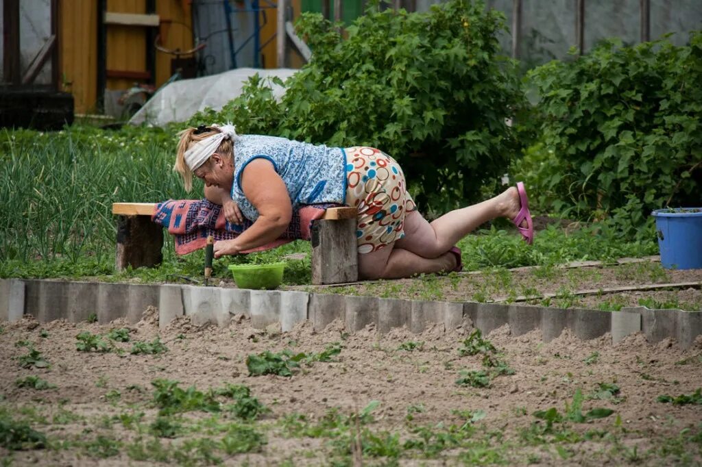 Дача прикольно. Дачницы на даче. Баба на грядке. Бабы в огороде. Бабка в огороде.