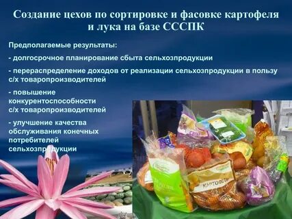 Хозяйство потребитель