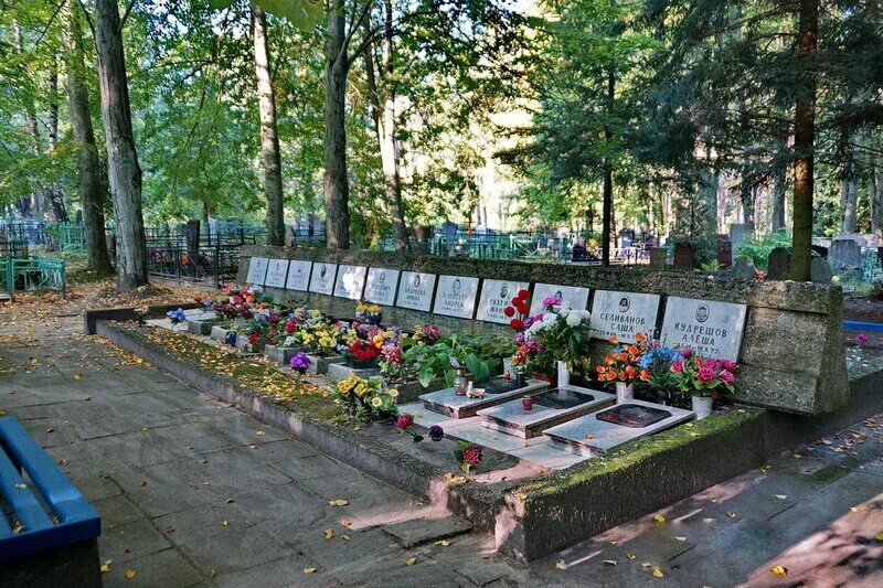 16 мая 1972 год. Катастрофа ан-24 в светлогорске. светлогорск 1972 авиакатастрофа детский. самолет упал на садик в 1972 году в светлогорске. светлогорск 1972 авиакатастрофа детский сад.