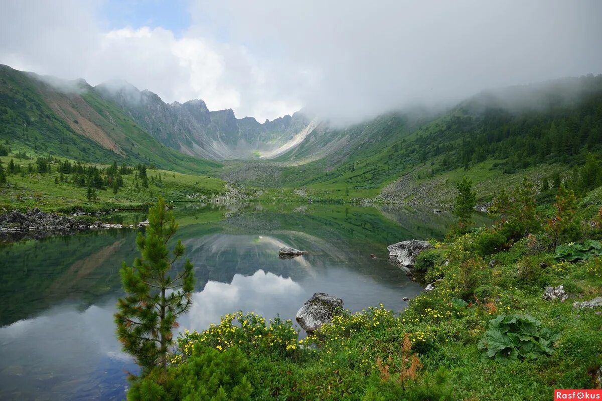 саяны 2000. саян 2000. саян 2000. западный саян (красноярский край, тыва, хакасия). продовольственная компания саяны.