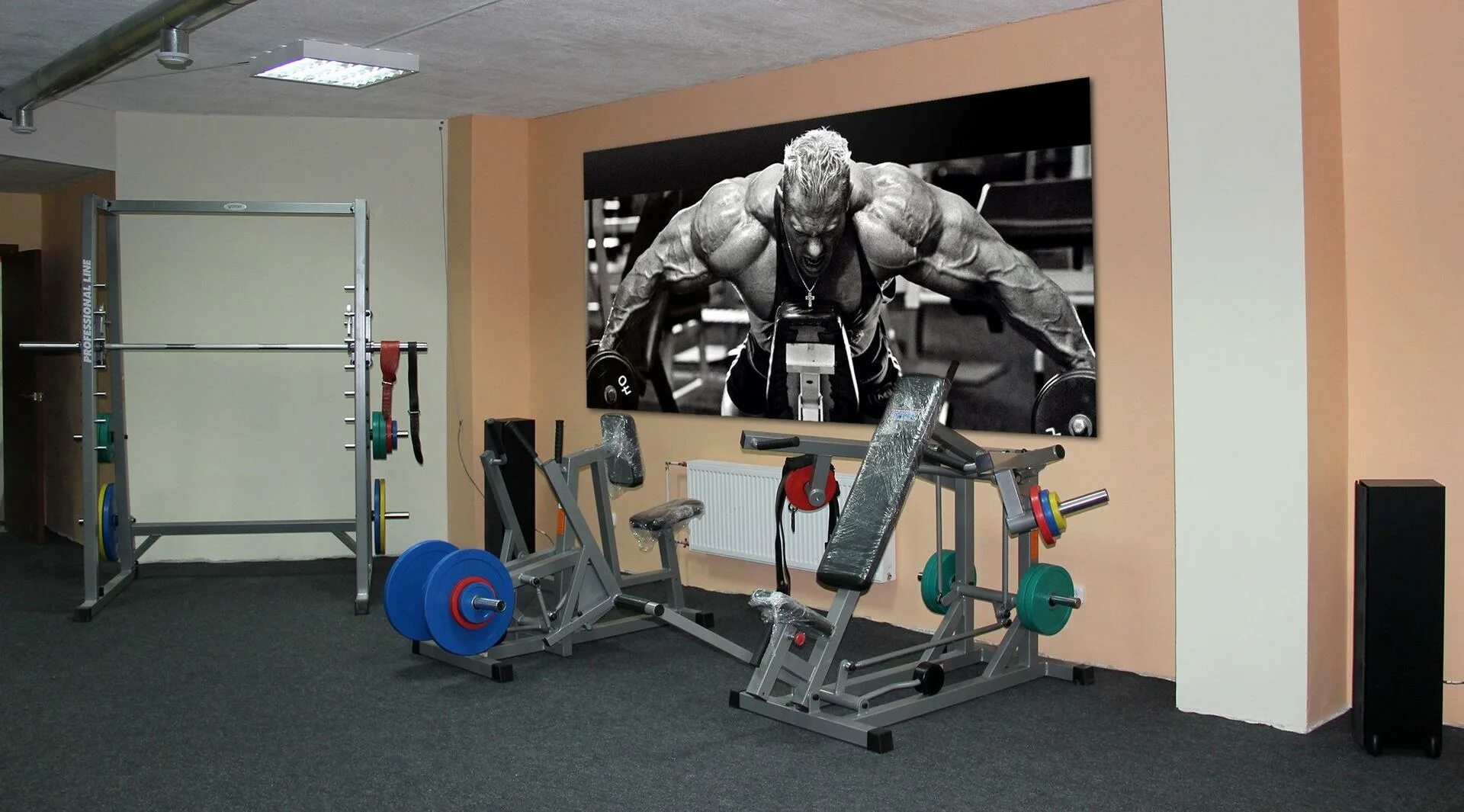 Тренировка зал рядом. Дагфелормания летний зал. Любимый фитнес зал. Смешное в тренажерном зале. Спорт и депрессия.