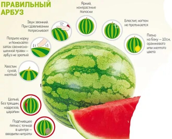 Составляющие арбуза. Как выбрать арбуз инфографика. арбуз инфографика. хороший арбуз. выбор арбуза.