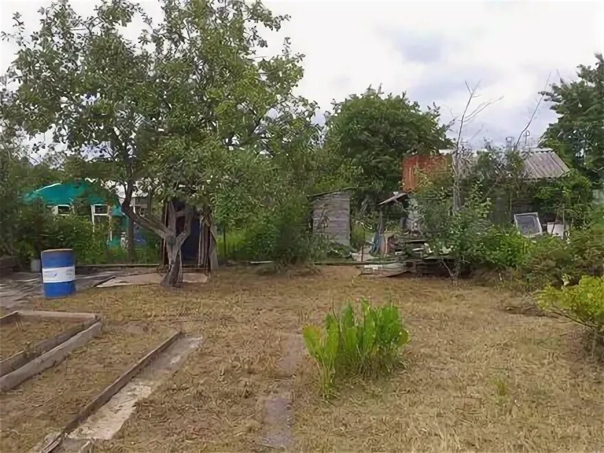 Иваново садоводческие товарищества. Конохово ивановская область. Садовый участок снт. Снт юбилейный. Иваново садоводческие товарищества.