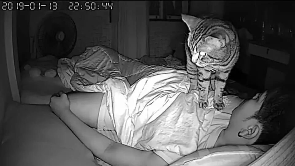 Заветным именем будить ночную