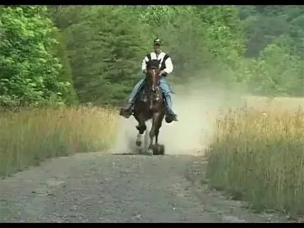 I never ridden a horse