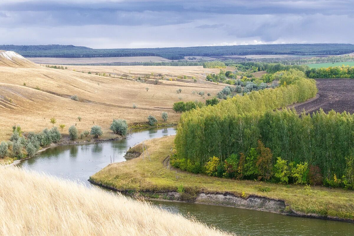 Арбуга. Река арбуга ульяновская область. арбугинская гора ульяновская область. гора арбуга ульяновск. арбугинские горы ульяновск.