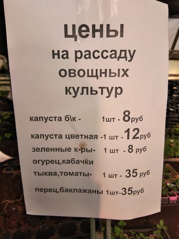 Магазин приневский на октябрьской набережной 112. 6, санкт-петербург фото. Племенной завод приневское. Приневский совхоз магазин часы работы. Приневская магазин.