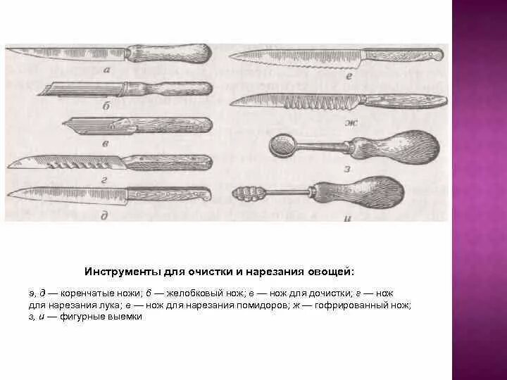 Какие приспособления используют при нарезке овощей. Инструменты для нарезки овощей технология. нож для корнеплодов овощного цеха. используемые инструменты для нарезки корнеплодов. инструменты для нарезки овощей технология 5 класс.