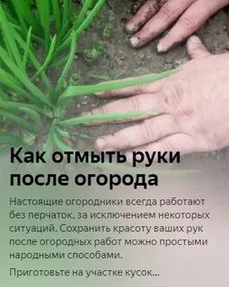 Огород отмывать после
