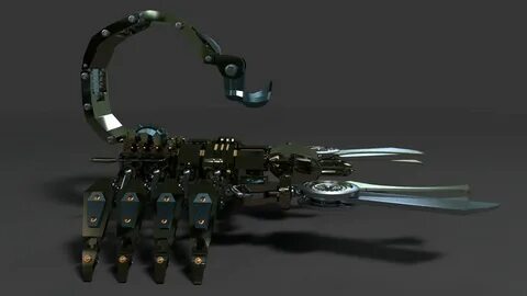 Скорпион 2025