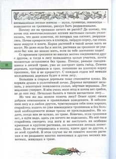 Текст лесные тропинки