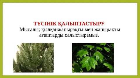 Орыс тілінде анасы мен баласы бейнеленген онлайн порно