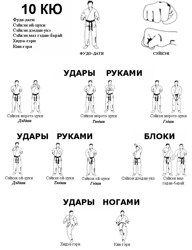 10кю каратэ. Терминология каратэ 10 кю. техника на 10 кю киокушинкай каратэ. названия ударов в каратэ киокушинкай 10 кю. кихон ката 10 кю киокушинкай.