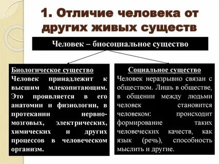 Чем отличается общество друг от друга