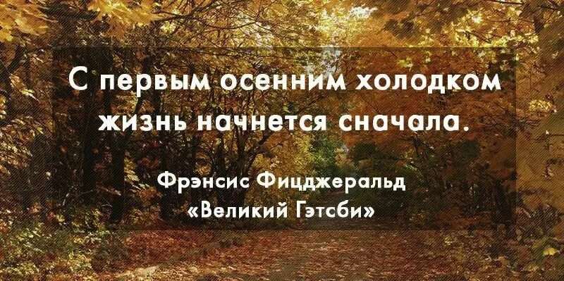 С первым холодком жизнь начнется сначала. Каждое утро это начать жизнь заново. Гэтсби с первым осенним холодком жизнь начнется сначала. Новая жизнь цитаты. С первым осенним холодком жизнь начнется сначала.